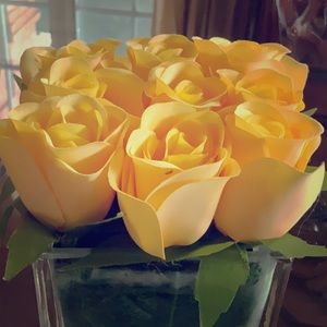 Meet your Posher, Anita